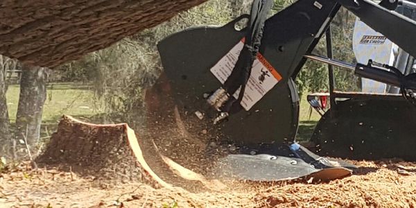 Stump Grinding