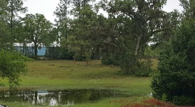 Standing Water on Property