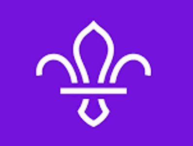 White fleur-de-lis symbol on purple background.