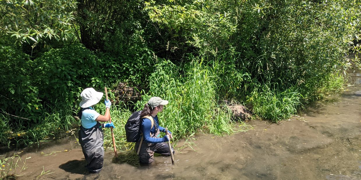 one staff member leading another through a stream