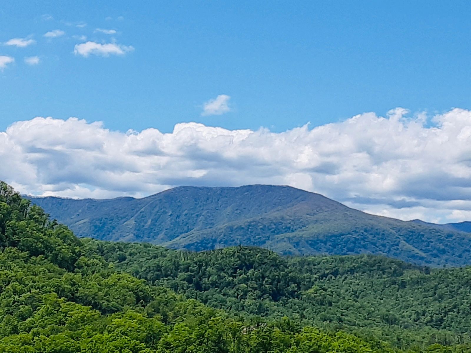 Real Estate Blueskies Property Management Blueskies Property Management