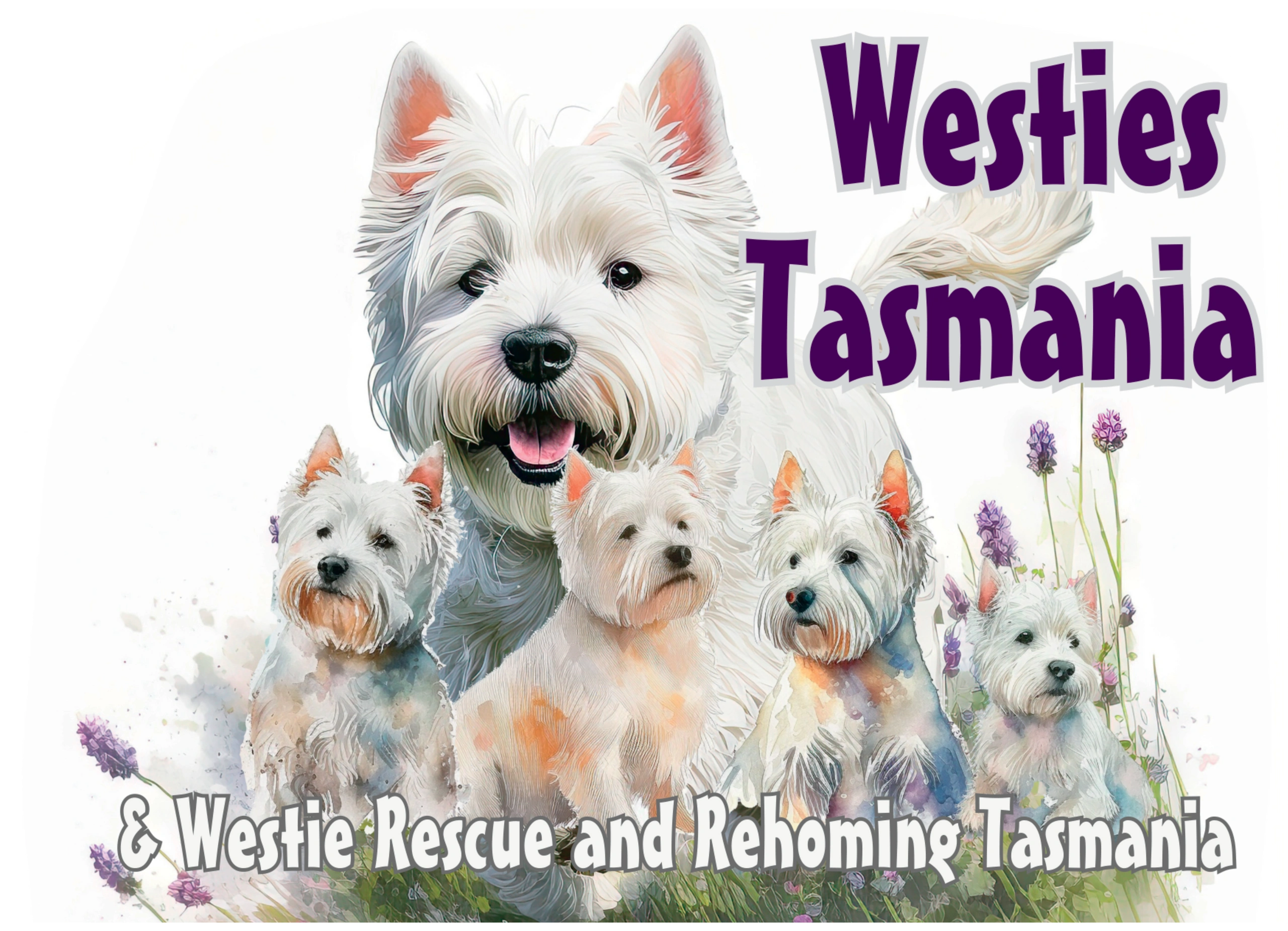 Westie Rescue and Rehoming Tasmania Inc. logo