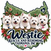 Westie Rescue and Rehoming Tasmania Inc 