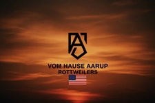 Vom Hause Aarup Rottweilers 