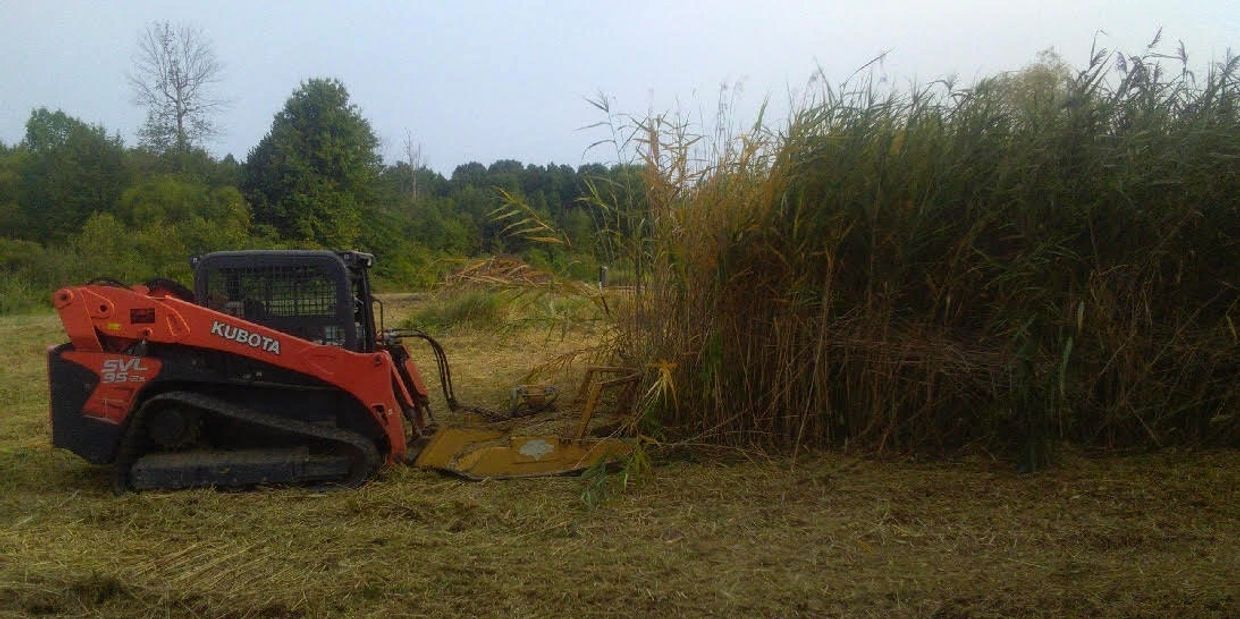 LAND CLEARING
COUNTRYSIDE TREE SERVICE