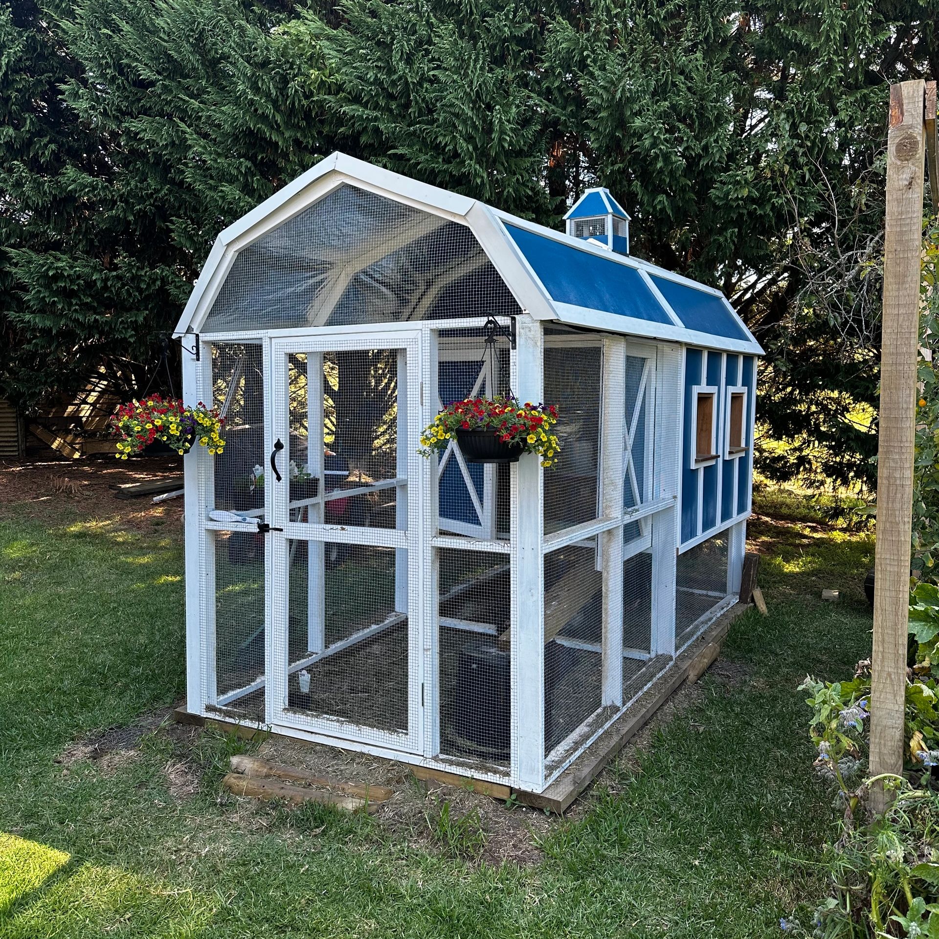 Luxury Chicken Coops