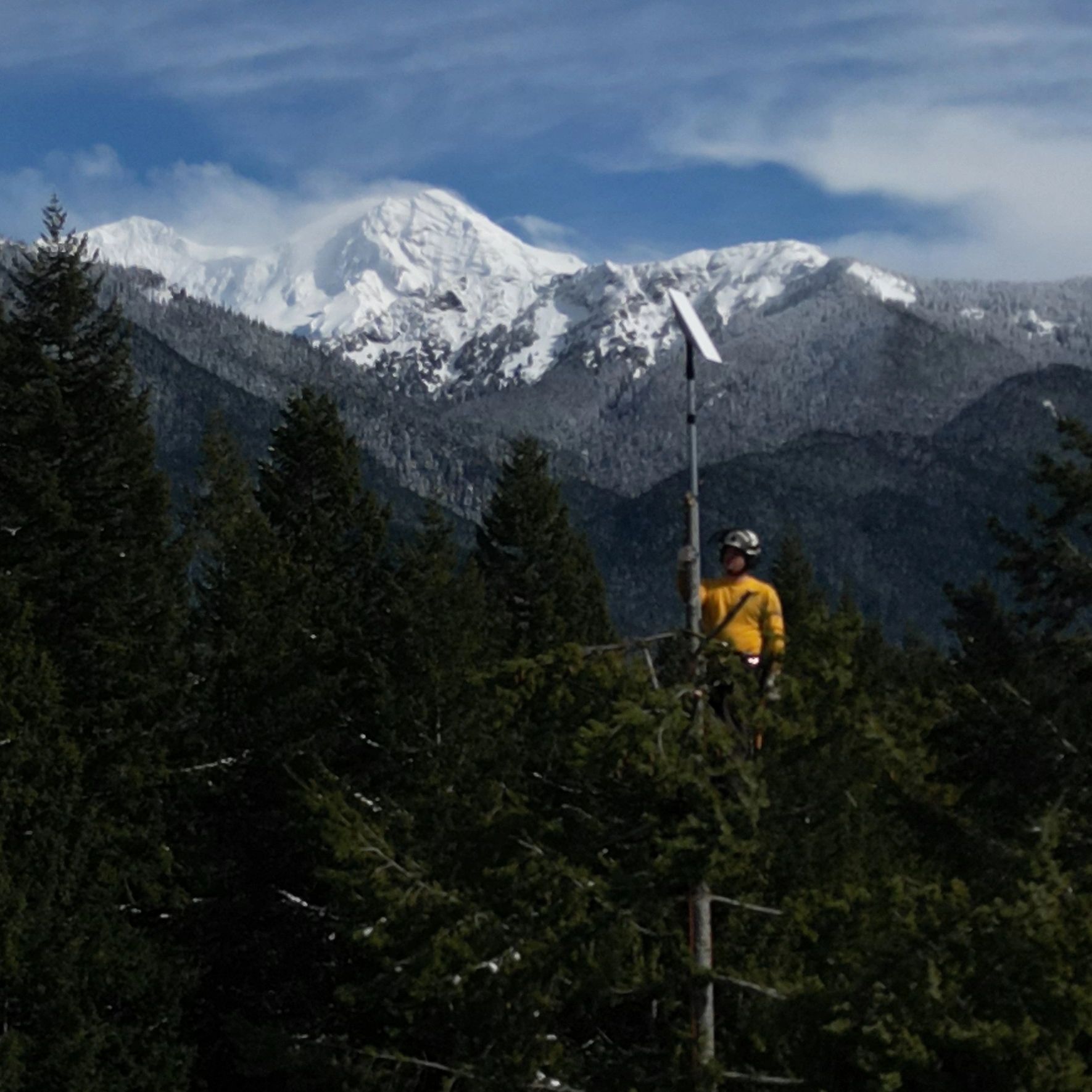 Starlink Tree Installs, StarlinkTree install, Cable Extensions