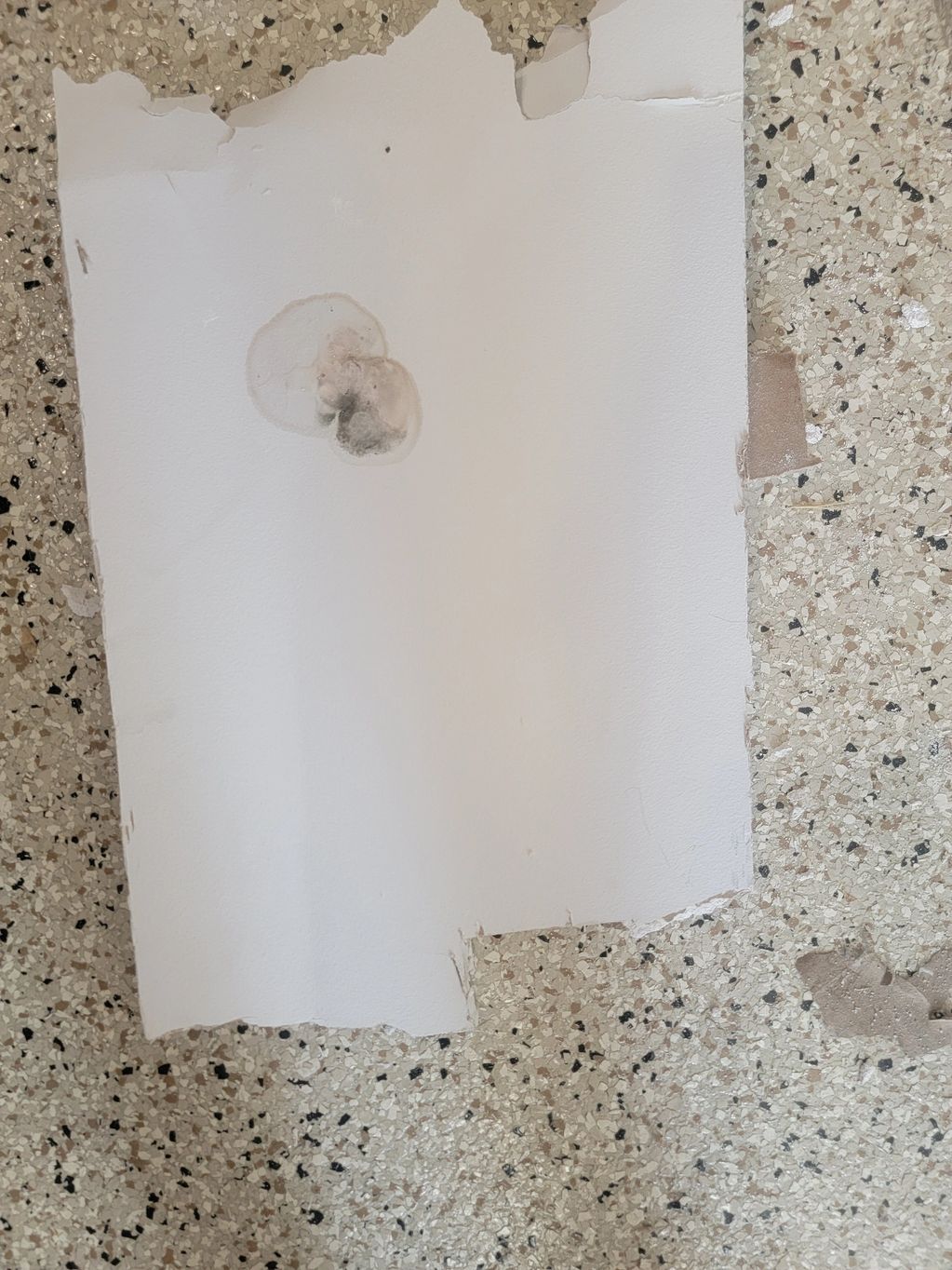 Torn and stained sheet of white paper on a speckled floor.