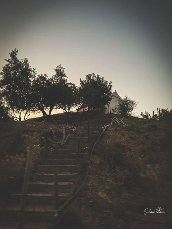 A staircase leads up a hill to a small house surrounded by trees at dusk.
