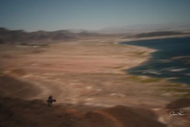A bird flying over a vast, blurry desert landscape near a river.