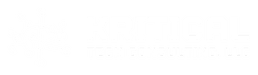 Kritical Tech Consulting, LLC