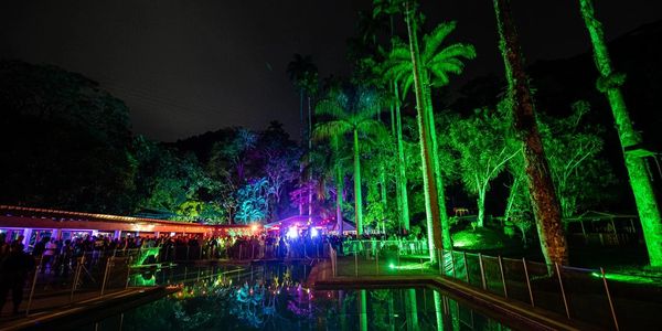 Nighttime party with colorful lights reflecting in a pool surrounded by tall palm trees.