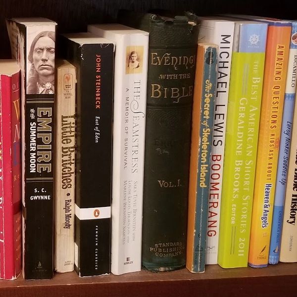 A bookshelf filled with various novels and non-fiction books, including classics and contemporary titles.