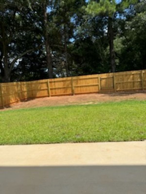 A backyard with green grass, a wooden fence, and tall trees in the background.