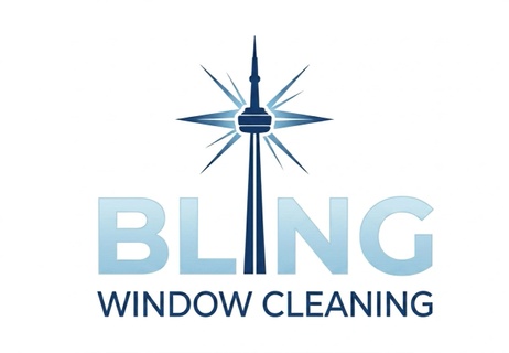 Bling 
Window Cleaning