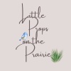 Little Props on the Prairie