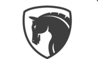 ᴘʀɪᴠᴀᴛᴇ ᴇǫᴜɪɴᴇ ᴄʜᴀʀᴛᴇʀs