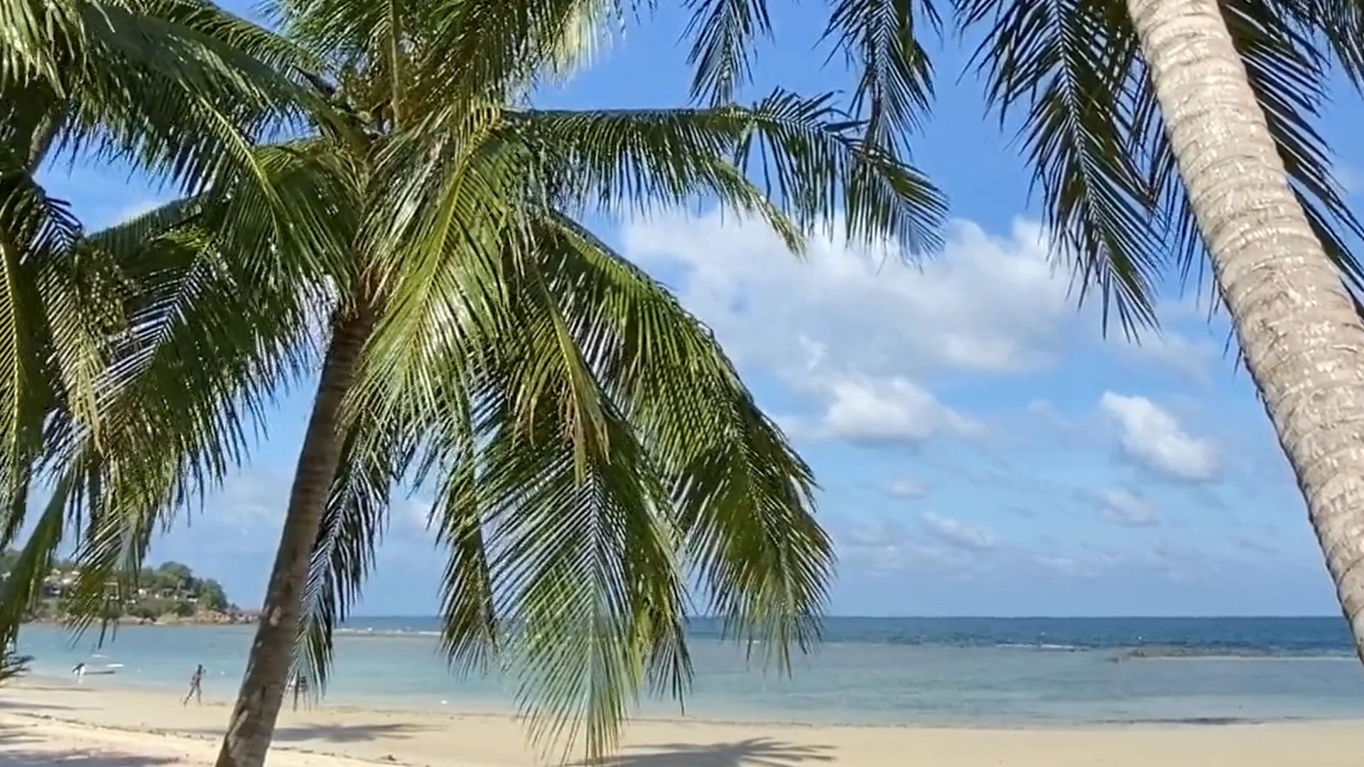 https://img1.wsimg.com/isteam/ip/5b5dcbc9-64e2-4b6a-a865-8ffd6029ced9/thumbnails/thumbnail-1f122b49-dd12-498e-bcb9-1464ef35fe36.png