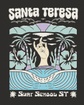 Surf School Santa Teresa