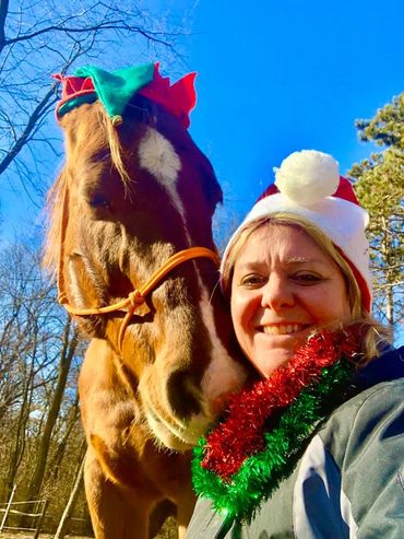 christmas christmas horse santa hat horse cassandra johnson coaching grazing gratitude holidays