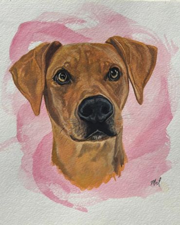 Close-up watercolor painting of a brown dog against a pink background.
