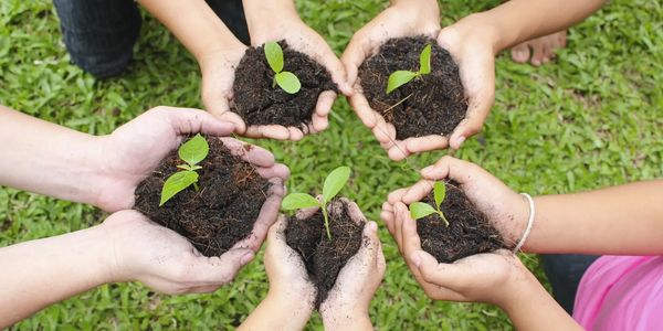 A group of people holding soil with a seedling