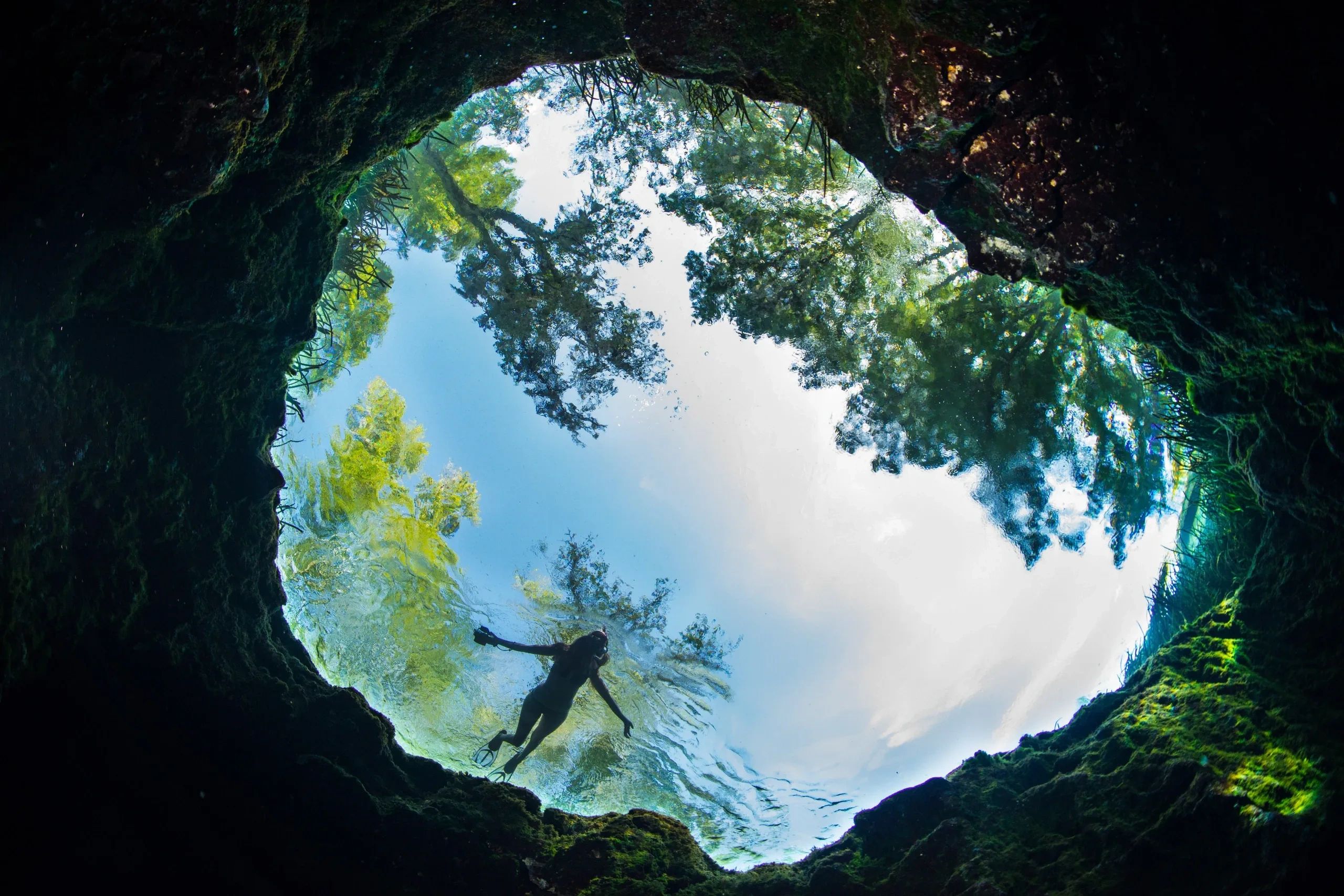 View from underwater cave opening showing a snorkeler and reflections of trees on water.