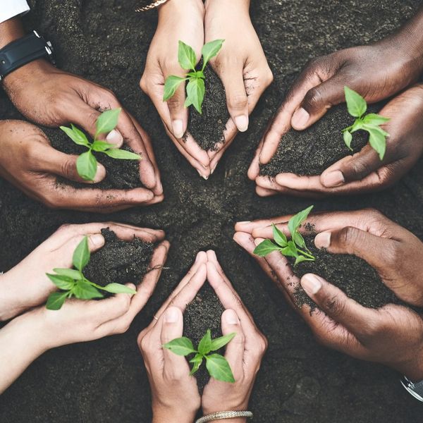 hands working together to plant 