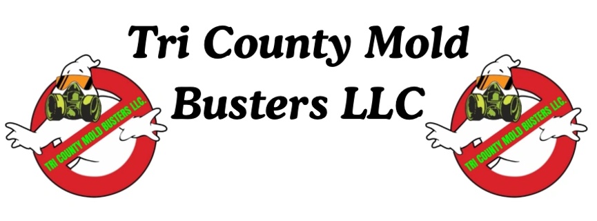 Tri County Mold Busters LLC