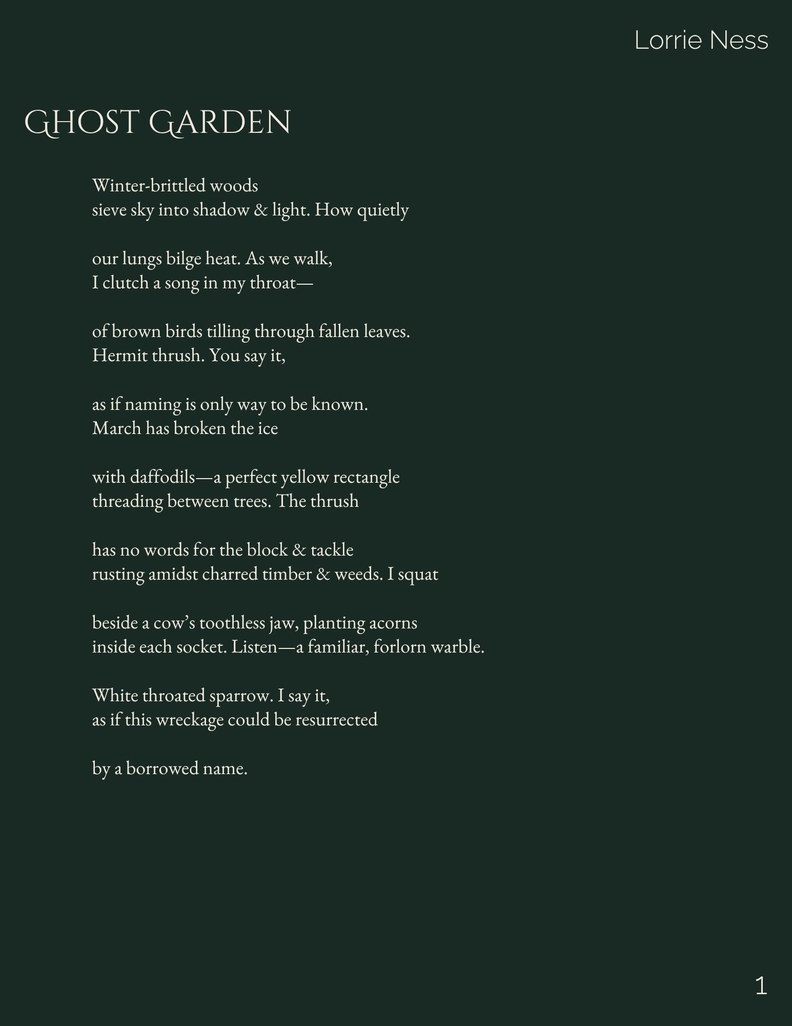 Poem titled 'Ghost Garden' by Lorrie Ness about nature and birds.