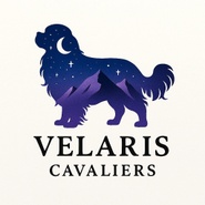 Velaris Cavaliers