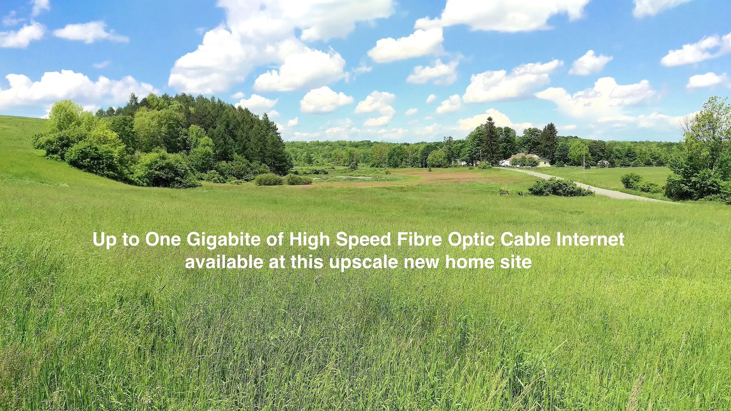 Land for sale Cooperstown NY 13.25 Acres residential building parcel  with 2 ponds 1,800' road front