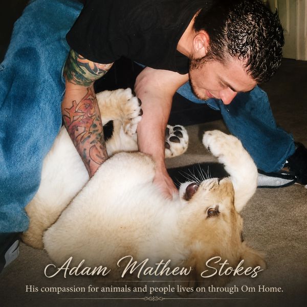 Adam Mathew Stokes, whose compassion for animals and people continues through the mission of Om Home