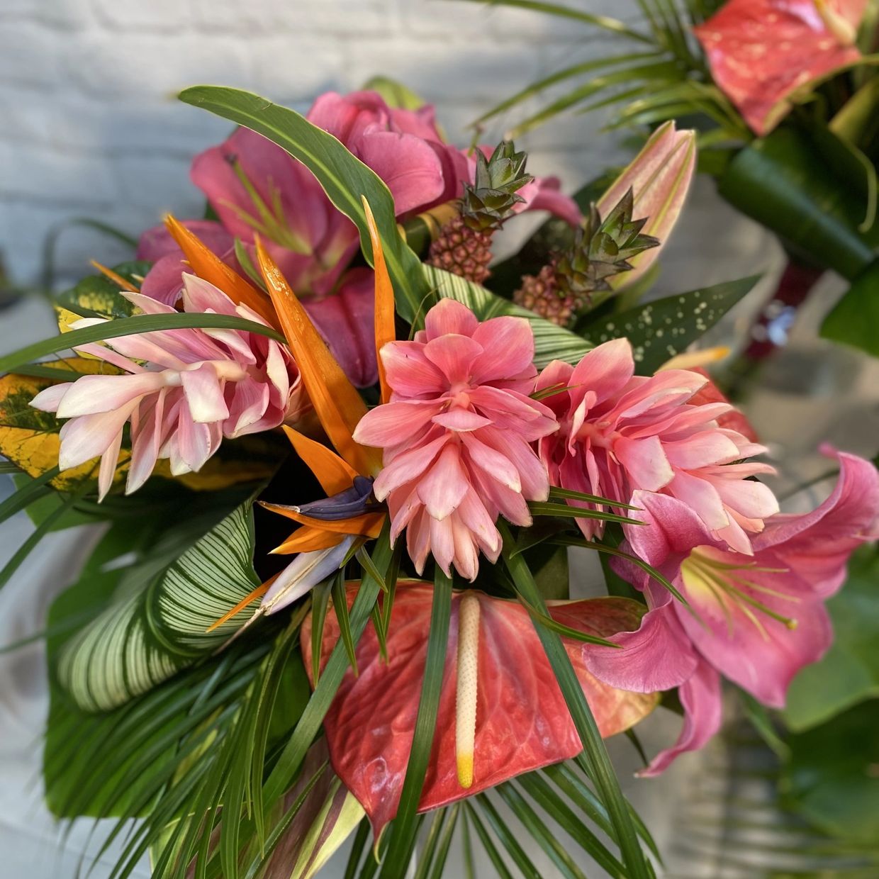 tropical flowers