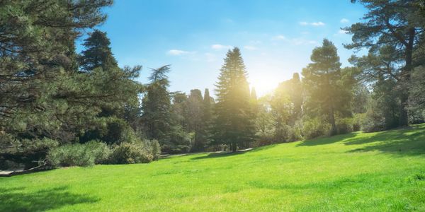 Landscape Design garden flowers bushes trees Michigan Landscapers landscaping