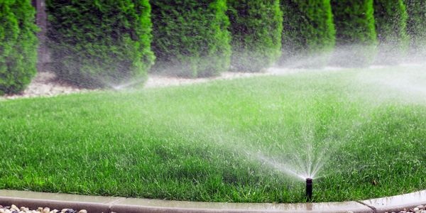 Irrigation trees lawn turf grass landscape Michigan Landscaper
