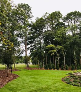 Wake Forest and Raleigh Landscaping Services. Lawn care and landscaping