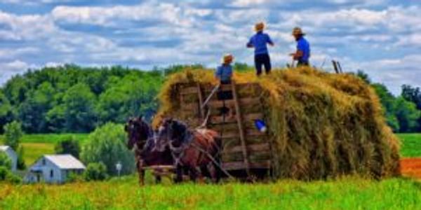 amish country tour pa