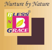 Bless n Grace Healthcare