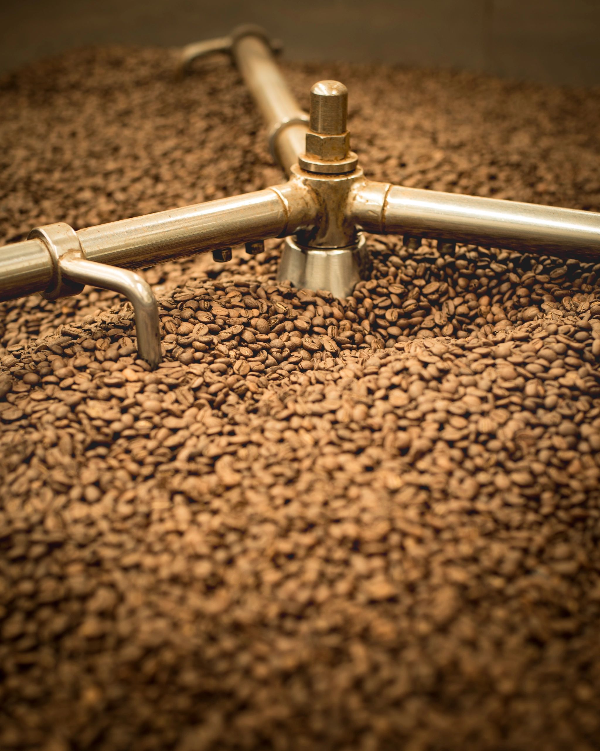 Fresh Roasted Coffee Beans Wollongong Coffee