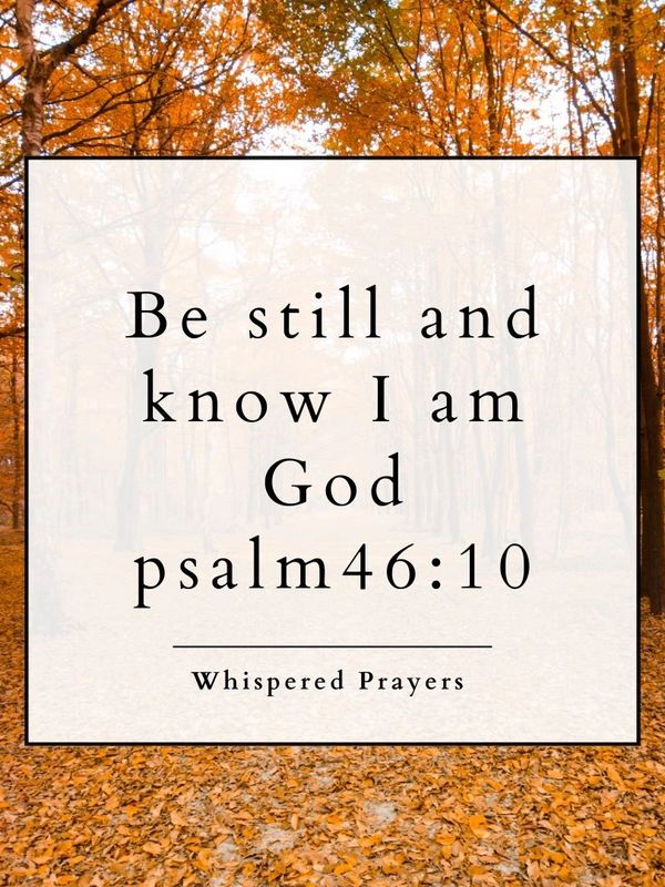 Inspirational Bible verse on a serene autumn forest background.