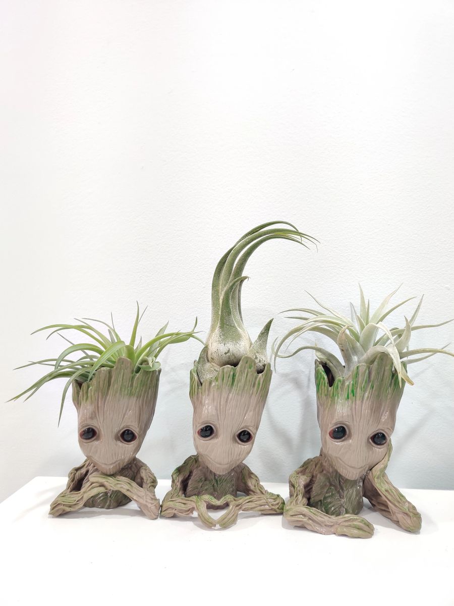 I Am Groot" - Resin Baby Groot Pot with Air Plants