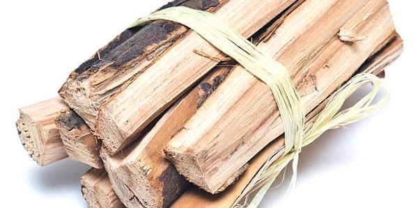 Bundle of Palo Santo sticks tied with a natural fiber.