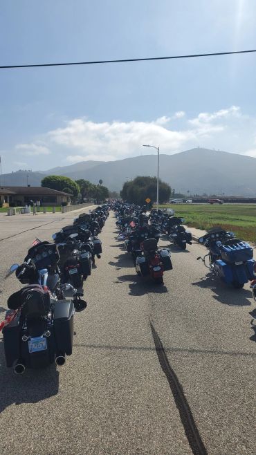 Rows of motorcycles lined up on a sunlit road.