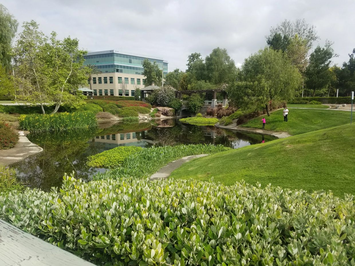 A serene park with a pond and greenery.