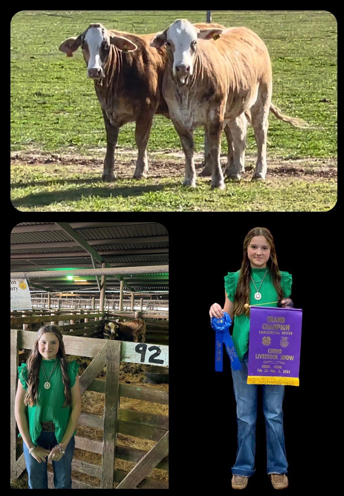 F1 Heifers
Grand Champion
2023 Cuero Livestock Show