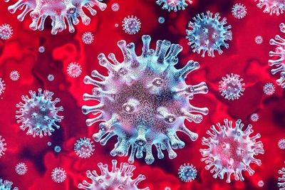 EPA RRP - Coronavirus New Policy - May 08, 2020