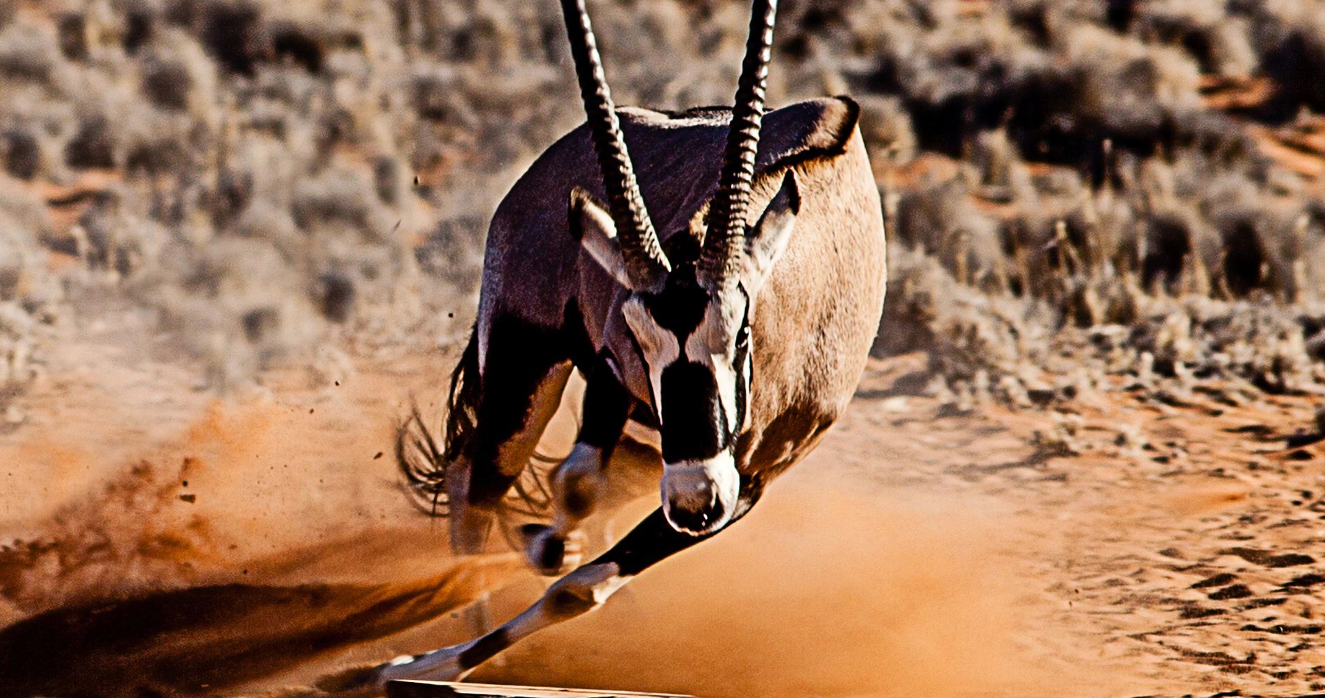 AC Ranch - Hunting, Travel, Retreats