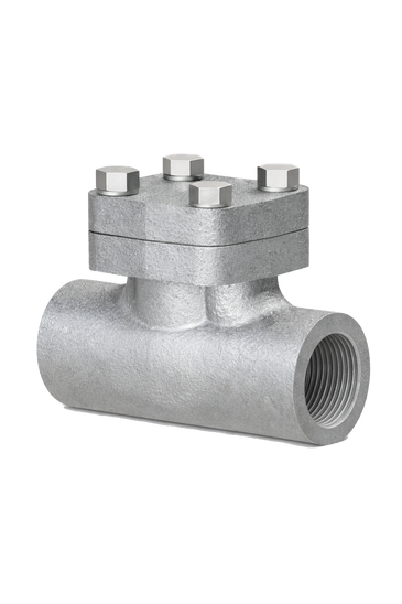 Forged Check Valves 