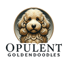 OPULENT GOLDENDOODLES